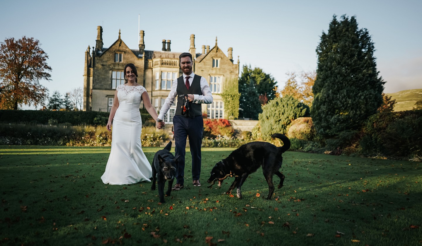 couple with their dogs on their wedding day